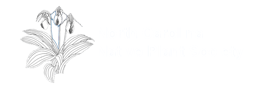 NCNPS logo